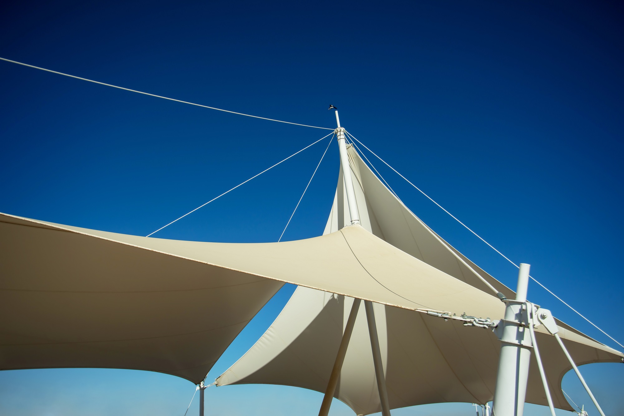 Tensile Architecture Pvc Applications - Ricky Richards